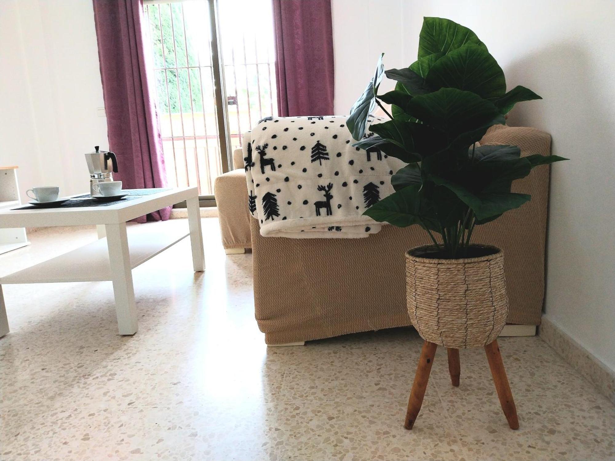 Top Suite Apartment Jerez Jardin Y Patio Jerez de la Frontera Exterior foto